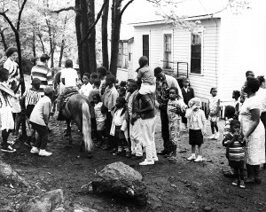 Photographs of picnics